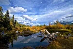 _DSC0546副本副本副本