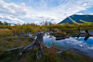 _DSC0561副本副本