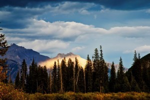 _DSC0621副本副本副本