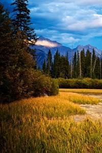 _DSC0624副本副本副本