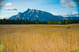 _DSC0697副本副本