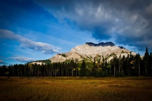 _DSC0790副本副本a副本