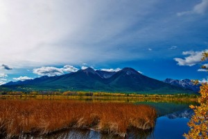 _DSC0816副本副本副本