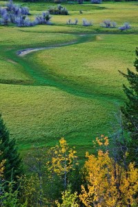 _DSC1475副本副本