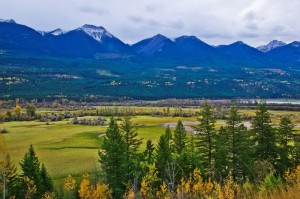 _DSC1479副本副本