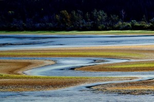 _DSC1498副本副本