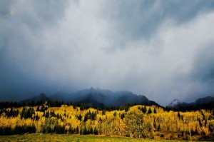 _DSC1541副本副本副本