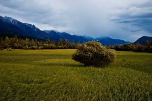 _DSC1554副本副本