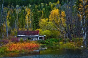 _DSC1611副本副本副本