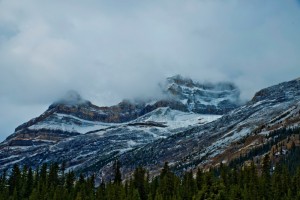_DSC1645副本副本副本