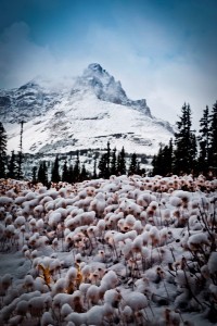 _DSC1649副本副本副本副本副本