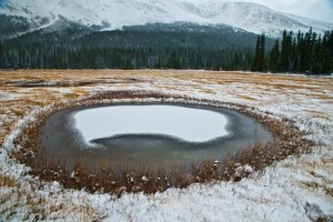 _DSC1673副本副本