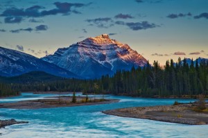 _DSC1795副本副本